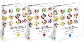 Molecular Cloning